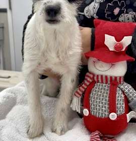 Photo of 161676 Jinx