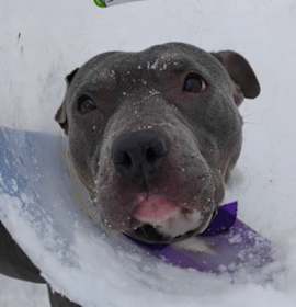 Photo of Twinkle Toes