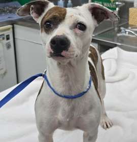 Photo of 161677 Avery