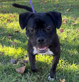 Jekyll C000-568 - City of Industry Location photo 1