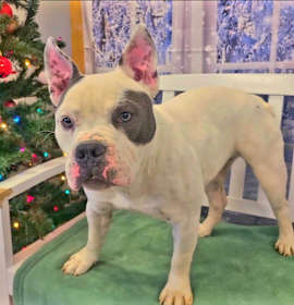 Photo of Matilda Yrly 477