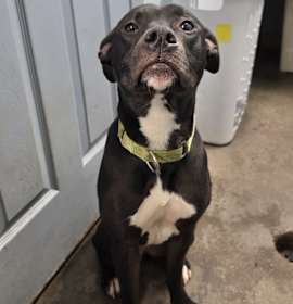 Photo of Sophie in CT