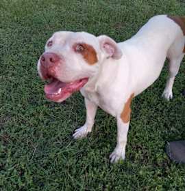 Photo of Sergio aka Seth