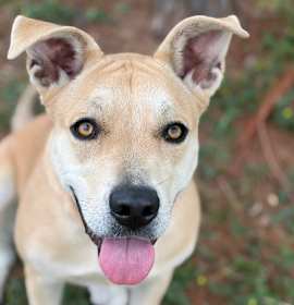 Photo of Janet 25-11-099