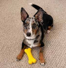 Photo of Rex Manning