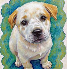 Photo of Betty White