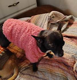 Photo of Courtesy Post - Nena