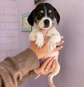 Photo of Undersea Gal