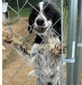 Photo of Available - Frances