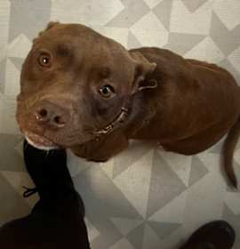 Photo of Marabella - 1