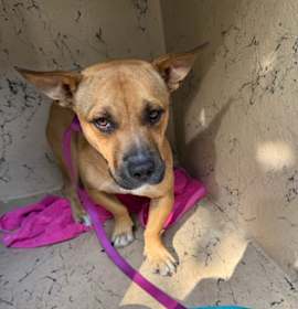 Photo of BABY REGGIE