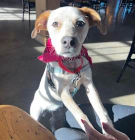 Photo of Autumn Grace