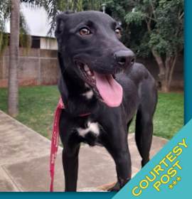 Photo of Athenea (CP)