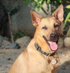 Photo of Ken aka Jack