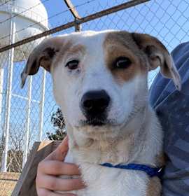 Photo of Sweetie - 120905T