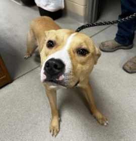 Photo of Journey 34057