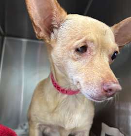 Photo of Little Bits