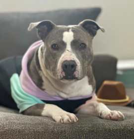 Photo of 935 (2025) Clover