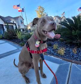 Photo of Peanut aka Little Boy