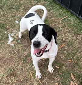 Photo of Rosie 20D25