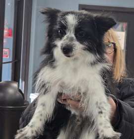 Photo of Edward Scissorhands