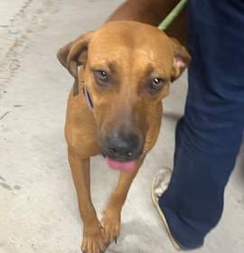 Photo of Patience - 2