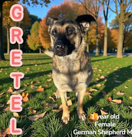 Photo of Gretel