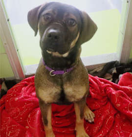 Photo of Cindy Lou Who