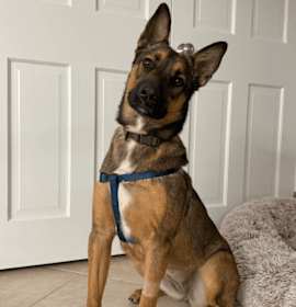 Photo of Luca (FKA Penny)