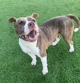 Photo of MARY PUPPINS