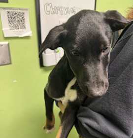 Photo of Cracker Candy