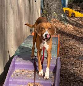 Photo of Aylani @ Foster