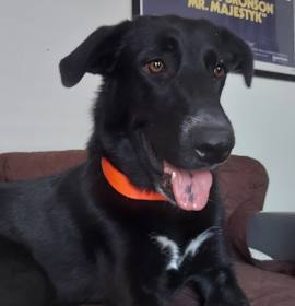 Photo of Kelly JuM/PF