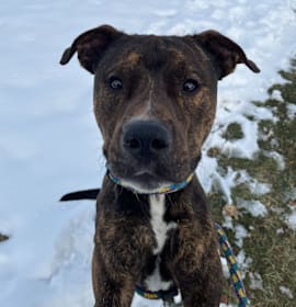 Photo of What The Spoon