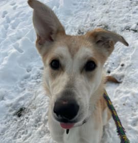 Photo of Leslie Knope