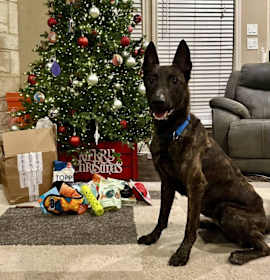 Photo of Chunk- Located in Texas