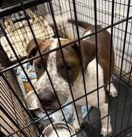 Photo of Big Gambino