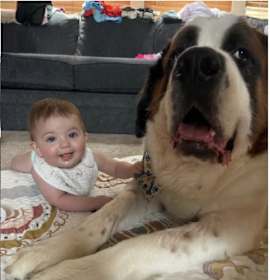 Photo of Brutus (& Tucker)