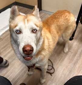 Photo of Mr. Riggles