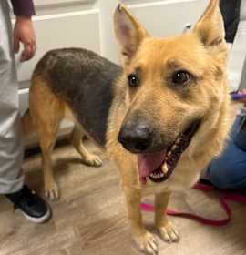 Photo of 905 (2025) Ellie