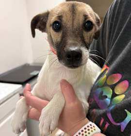 Photo of 947 (2025) Sara