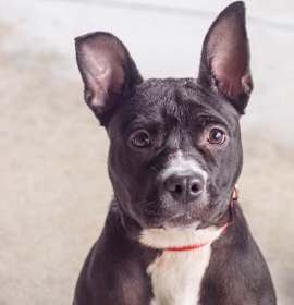 Photo of 89489a Maggie May