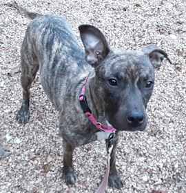 Photo of Sniffany Haddish