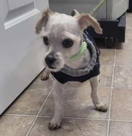 Photo of Bitty 5641D