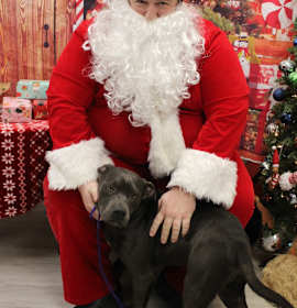 Photo of Forrest Gump