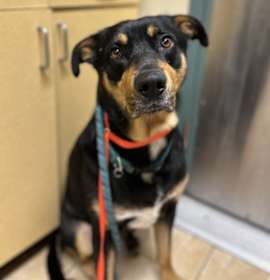 Photo of Boden (mcas)