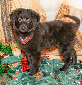 Photo of Hot Chocolate