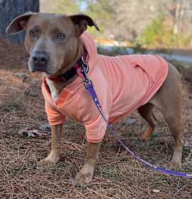 Photo of Mivvie 25-1280