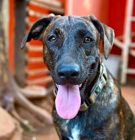 Photo of Tokyo - Money Heist Litter