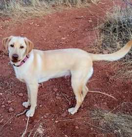 Photo of Beckwourth / Emmy